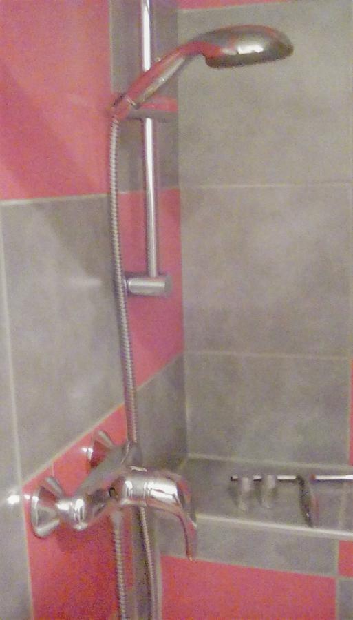לורך אם ריין Wohnen Im Burghotel מראה חיצוני תמונה